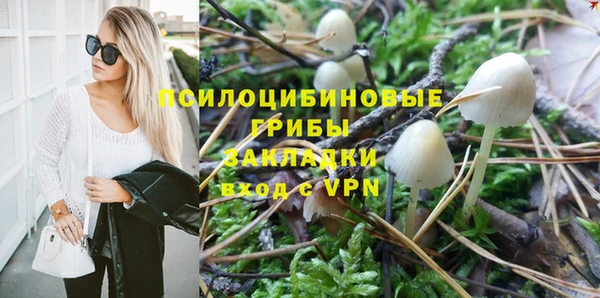 a pvp Гусь-Хрустальный