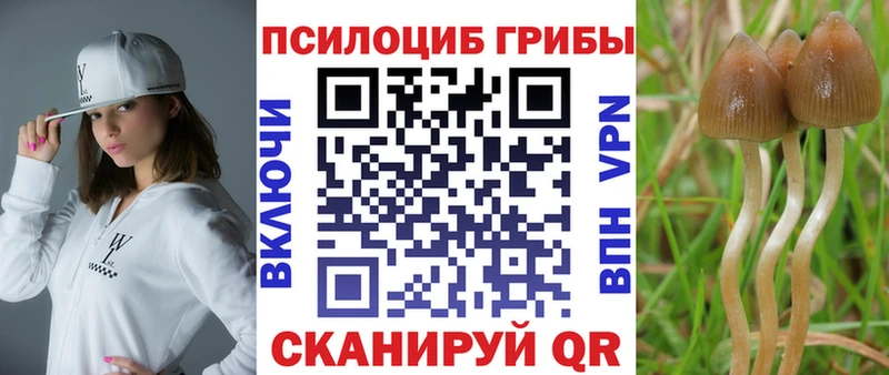 Купить  Липки  Псилоцибиновые грибы прущие грибы 